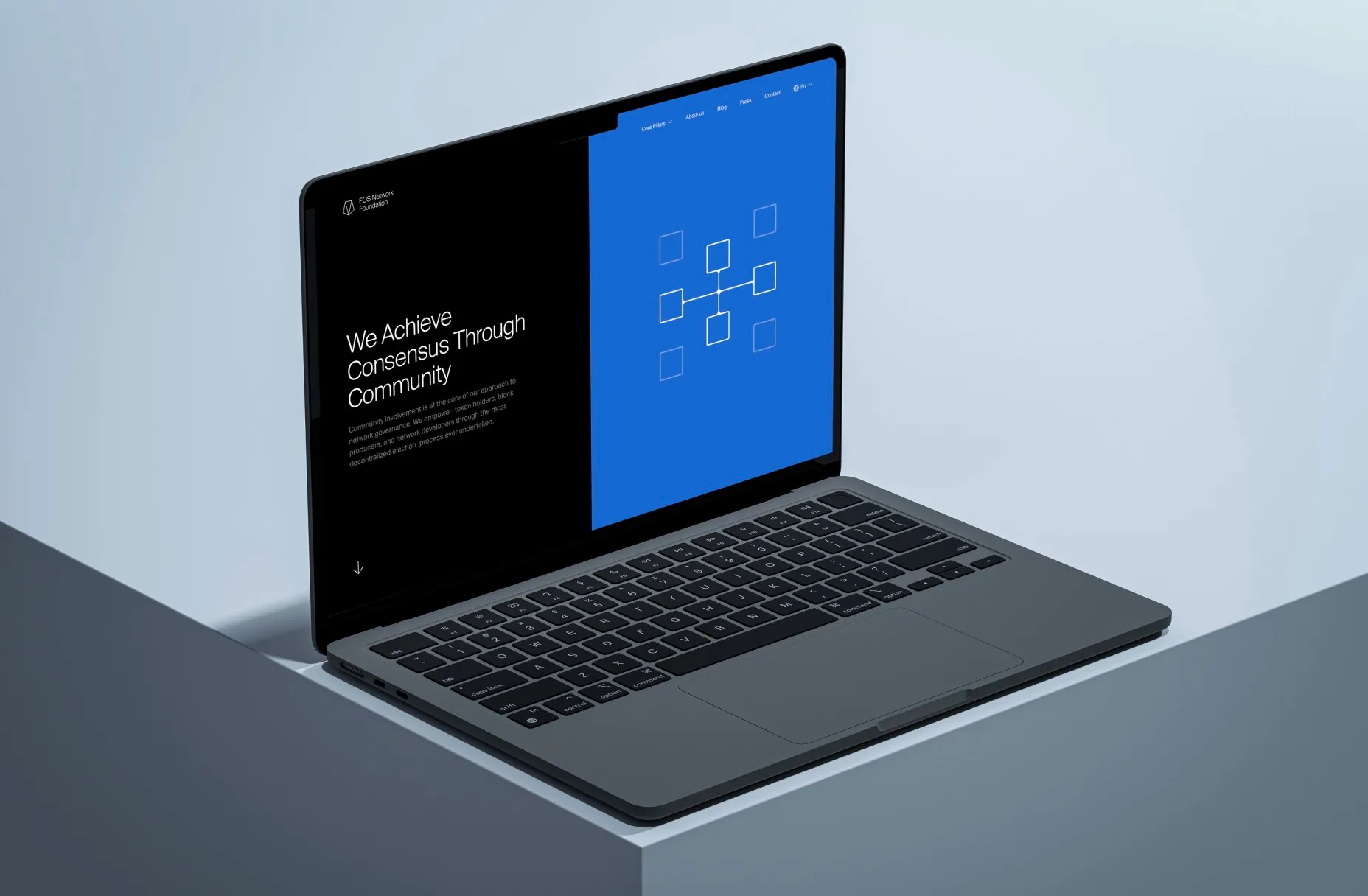 Gallery Asset 8