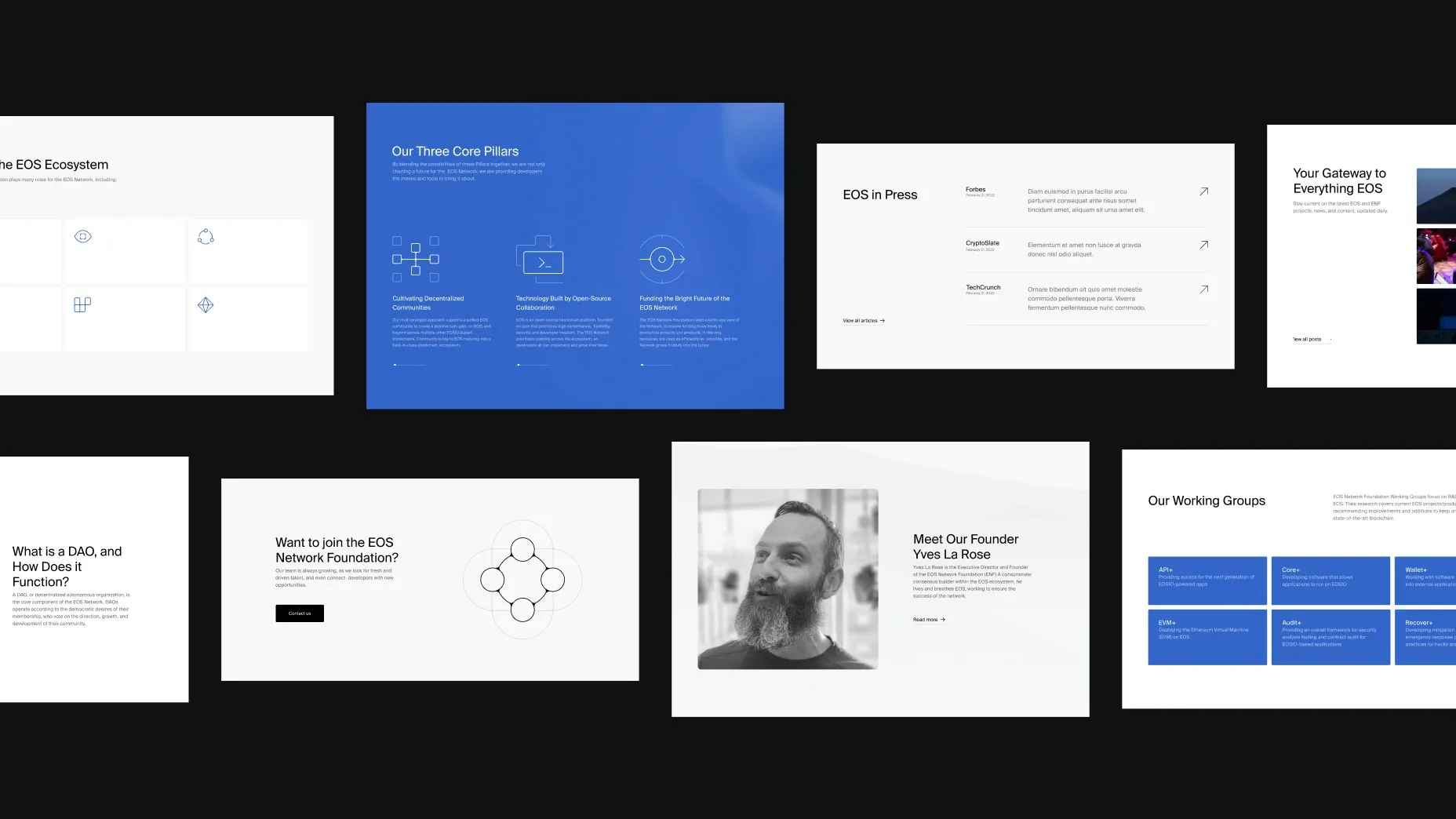 Gallery Asset 9