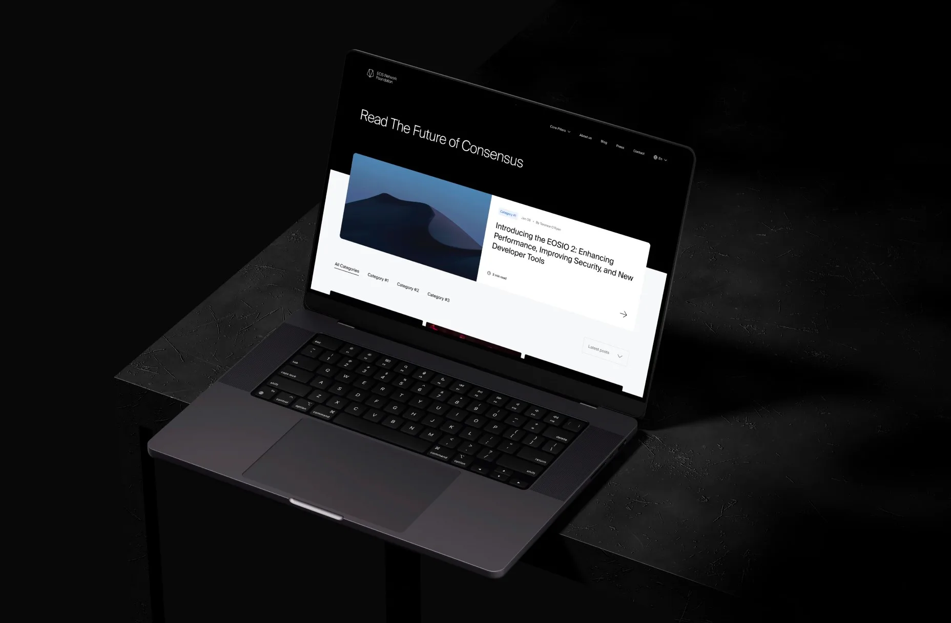 Gallery Asset 12