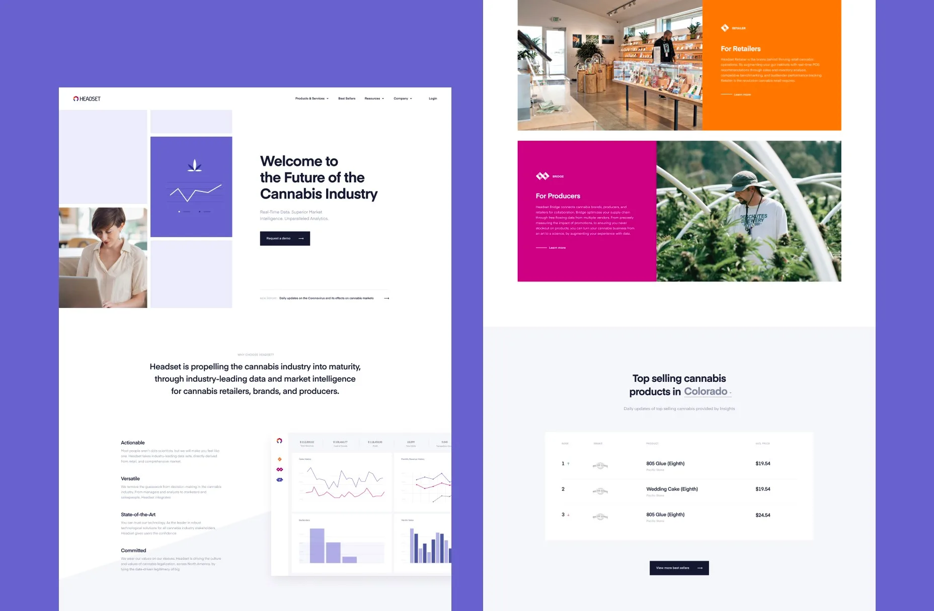 Gallery Asset 10