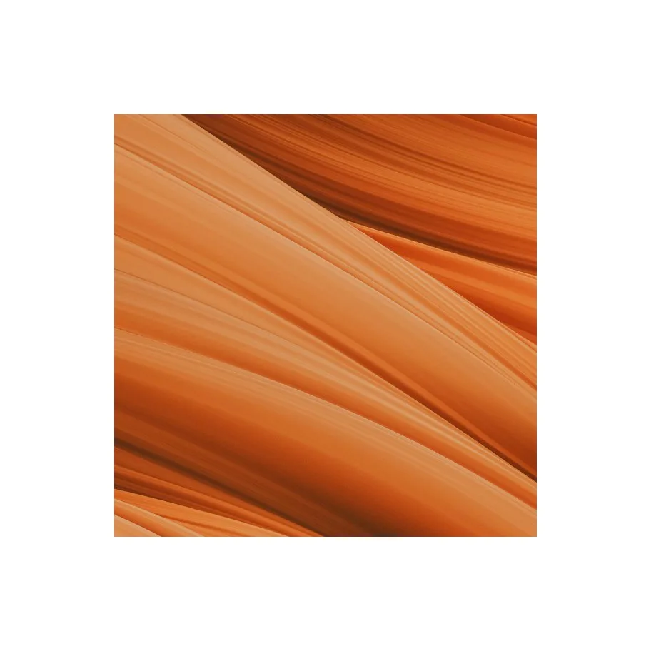 Gallery Asset 7