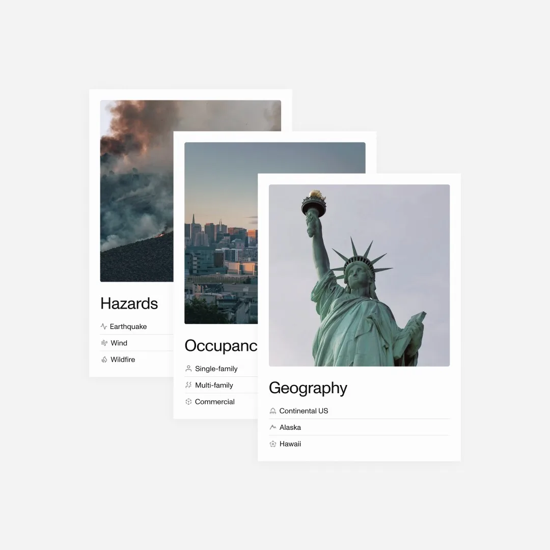 Gallery Asset 11